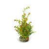 sydeco rostlina do akvaria l1 1
