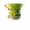 sydeco rostlina do akvaria l1 3