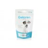 Geloren DOG L–XL pro komplexní výživu kloubů psů malých a středních plemen