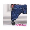 Obleček pro psy – modrá pláštěnka FMD 4LEGS, včetně botiček 2