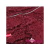 Obleček pro fenky – zimní overal FMD MAROON 7