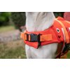 Plovací vesta pro psy Clownfish CROCI, oranžová 10