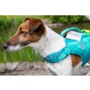 Plovací vesta pro psy Non-stop Dogwear Protector Life, tyrkysová 15