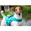 Plovací vesta pro psy Non-stop Dogwear Protector Life, tyrkysová 2