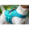 Plovací vesta pro psy Non-stop Dogwear Protector Life, tyrkysová 5