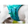 Plovací vesta pro psy Non-stop Dogwear Protector Life, tyrkysová 6
