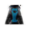 Modrý polstrovaný postroj pro psy Red Dingo Turquoise 12