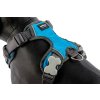 Modrý polstrovaný postroj pro psy Red Dingo Turquoise 8