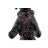 Polstrovaný postroj pro psy Red Dingo Squiggles Black 8