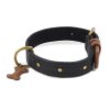 Kožený obojek pro psy URBAN DOG, černý