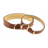 Stylový obojek pro psy ROSEWOOD Luxury Leather Brown z hnědé kůže