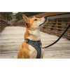 Postroj pro psy RUFFWEAR Front Range (2)
