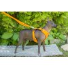 Vodítko pro psy Front Range od Ruffwear – oranžové