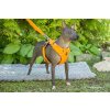 Vodítko pro psy Front Range od Ruffwear – oranžové 2
