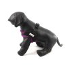 Postroj pro psy – fialový hrudní postroj Doodlebone Airmesh Boomerang Purple (5)