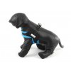 Postroje pro psy – modrý hrudní postroj Doodlebone Airmesh Boomerang Blue, pohled z boku