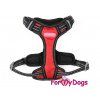 Postroj pro psy FMD RED