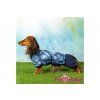 Obleček pro psy jezevčíků pláštěnka BLUE DENIM 7
