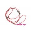 Výstavní vodítko pro psy ForMyDogs RED