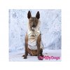 Obleček pro psy i fenky zimní bunda SILVER 13