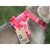 Postroj pro psy HURTTA Weekend Warrior Coral CAMO 10
