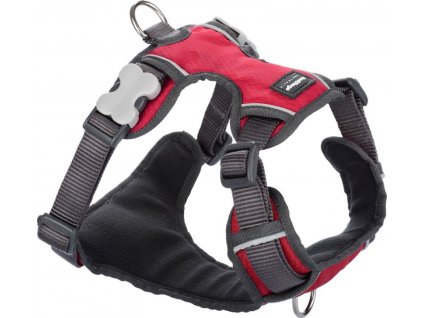 Postroj classic Red dingo polstrovaný červený