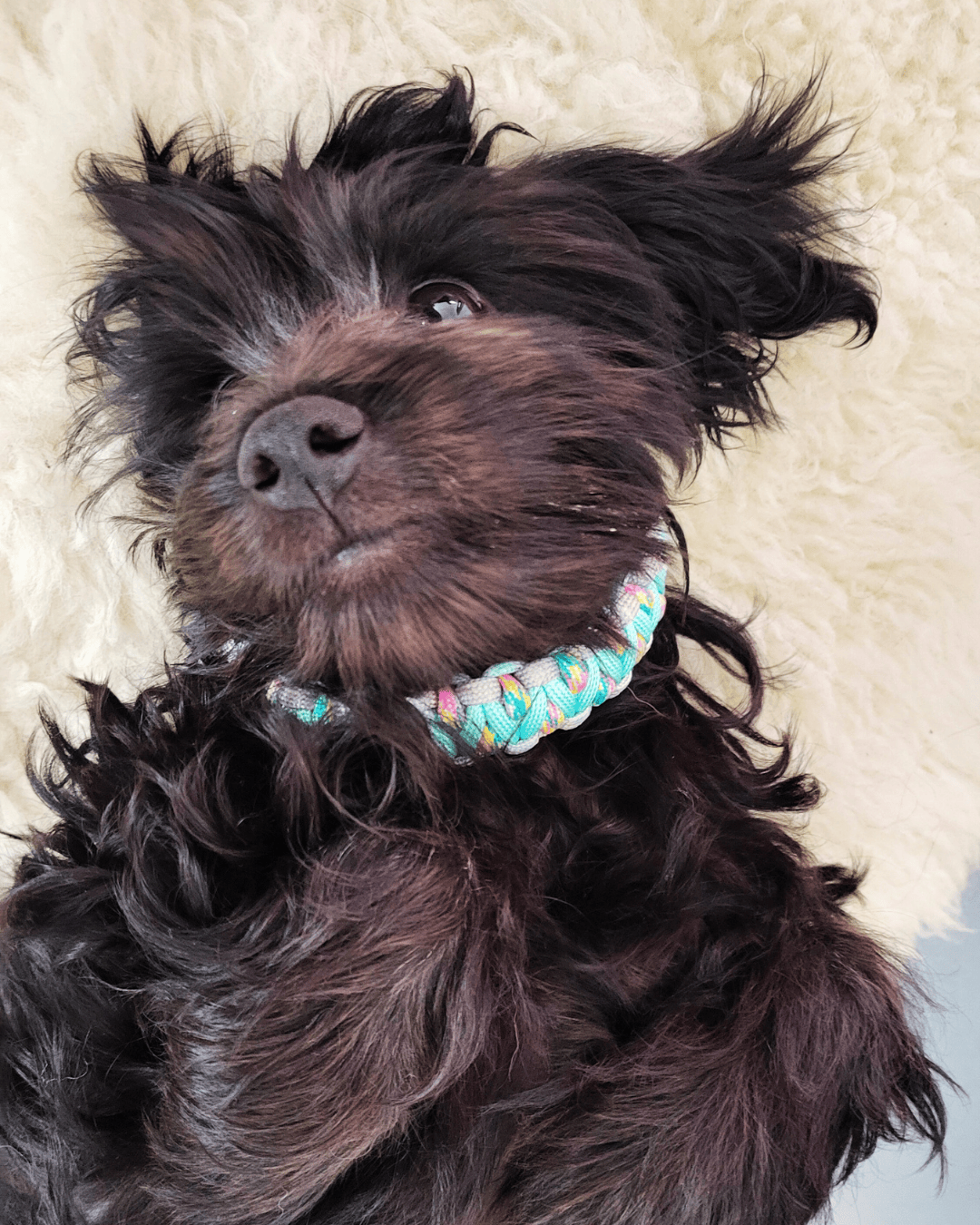 Ako to u nás vlastne funguje?