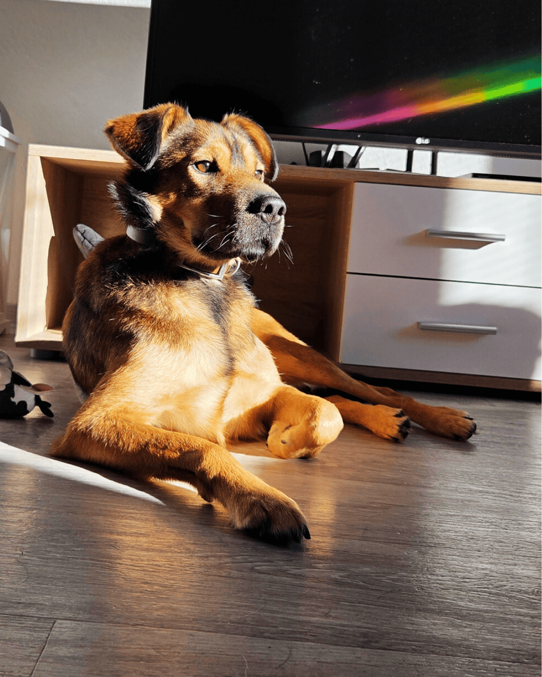 Podmienky prijatia do hotela