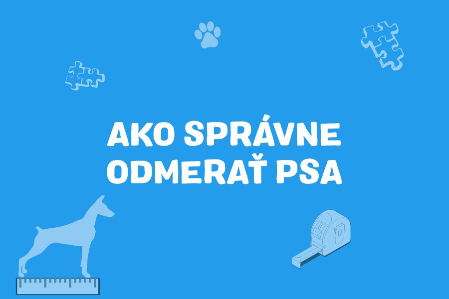 Vyberte správnu veľkosť: meranie psa