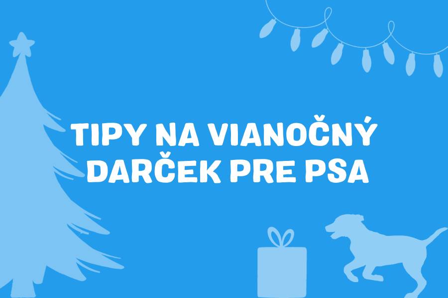 7 tipov na vianočný darček pre psa