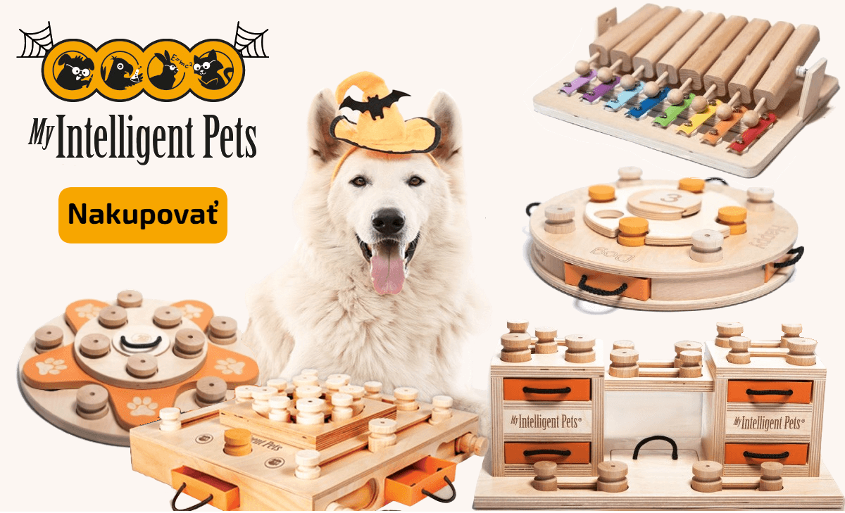 Hlavolamy pre psov My Intelligent Dogs