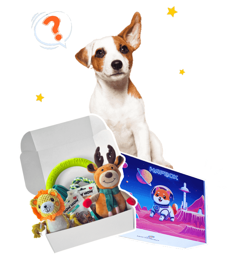 hafbox vianocny box pre psa