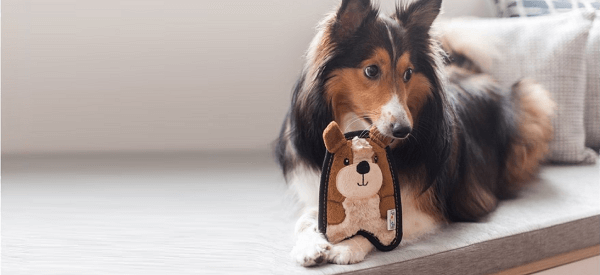 piskacie interaktivne hracky pre psa