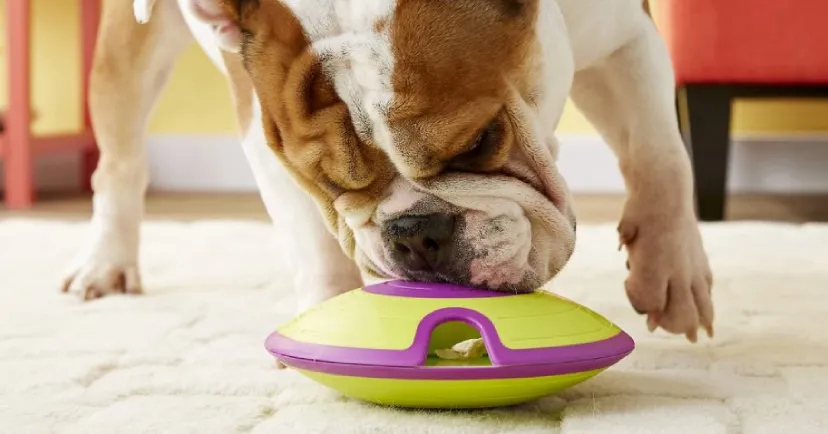 plniace hračky pre psov