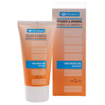 Vitamin & Mineral Energy Pasta pre psy 100 g