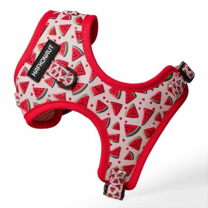 Postroj pre psa Melóniková Mánia