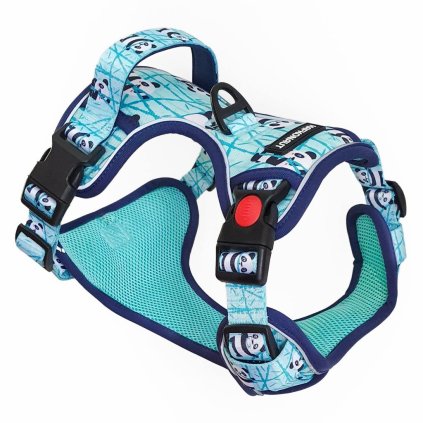 Veselý postroj pre psa proti tahaniu Ultra Grip Pandia Pohoda