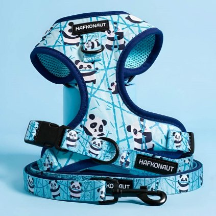 Pandia Pohoda Set postroj pre psa, vodítko a obojok