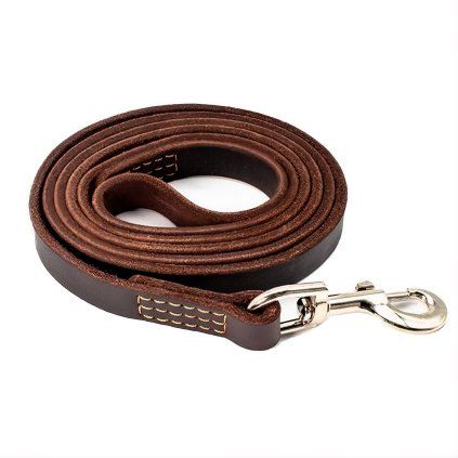 ROBUST kožené vodítko pre psa 170cm/20mm