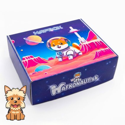 vianocny darcek pre psa na vianoce hafbox pre malych psov