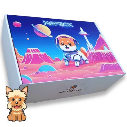 vianocny darcek pre psa na vianoce hafbox pre malych psov