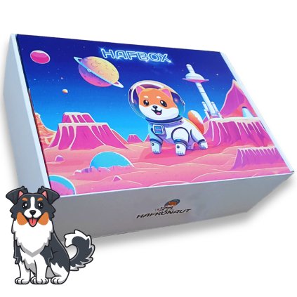 vianocny darcek pre psa na vianoce hafbox pre strednych psov