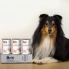 Brit Veterinary Diets GF dog Renal 400 g konzerva