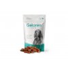 292 1 geloren dog s m novy