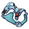 Veselý postroj pre psa proti tahaniu Ultra Grip Pandia Pohoda