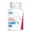 alavis klbova vyziva mini