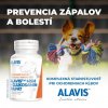 alavis msm glukosamin sulfat pre psa