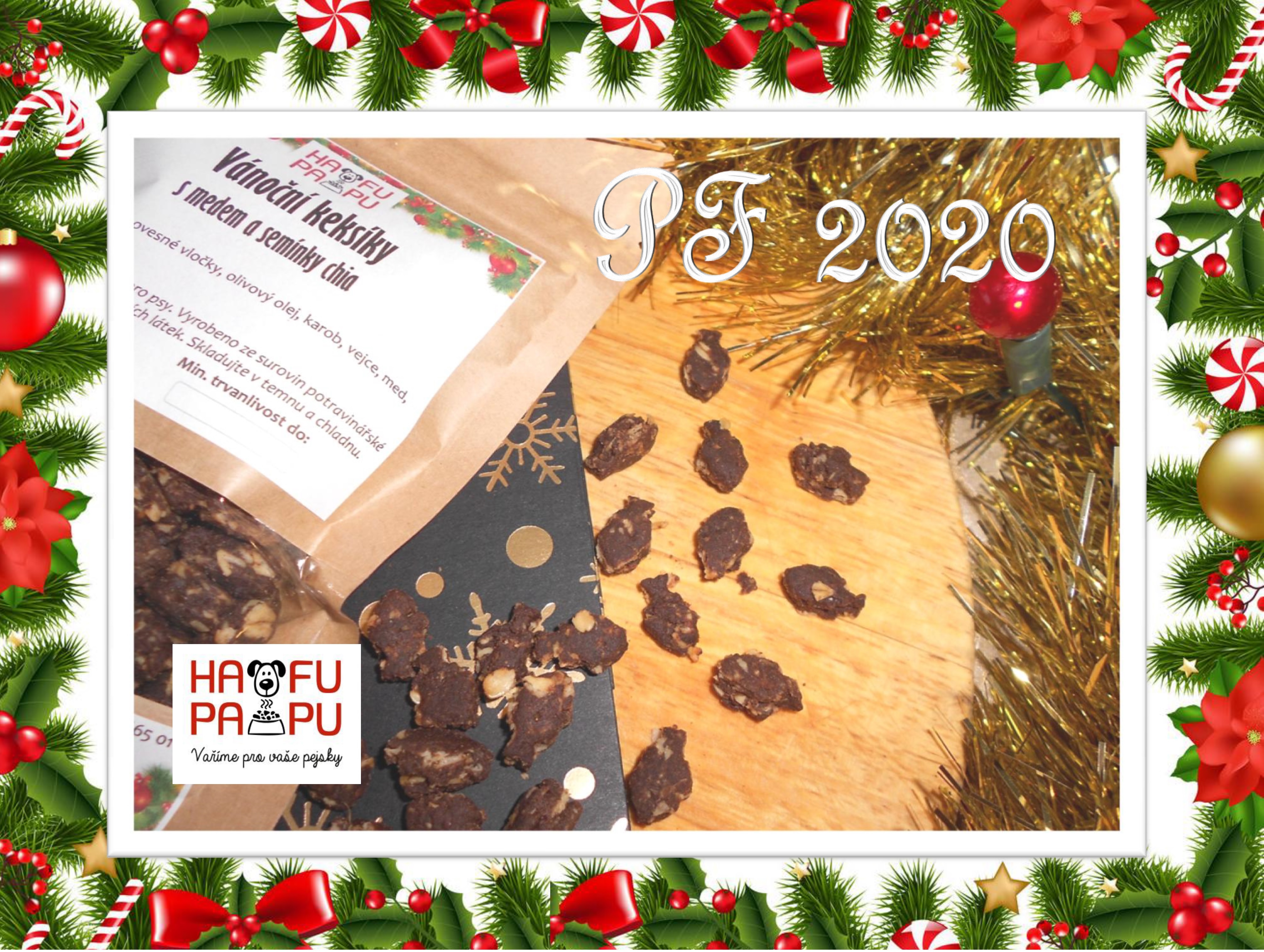 NADĚLUJEME VÁNOČNÍ KEKSÍKY PRO PSÍKY:)