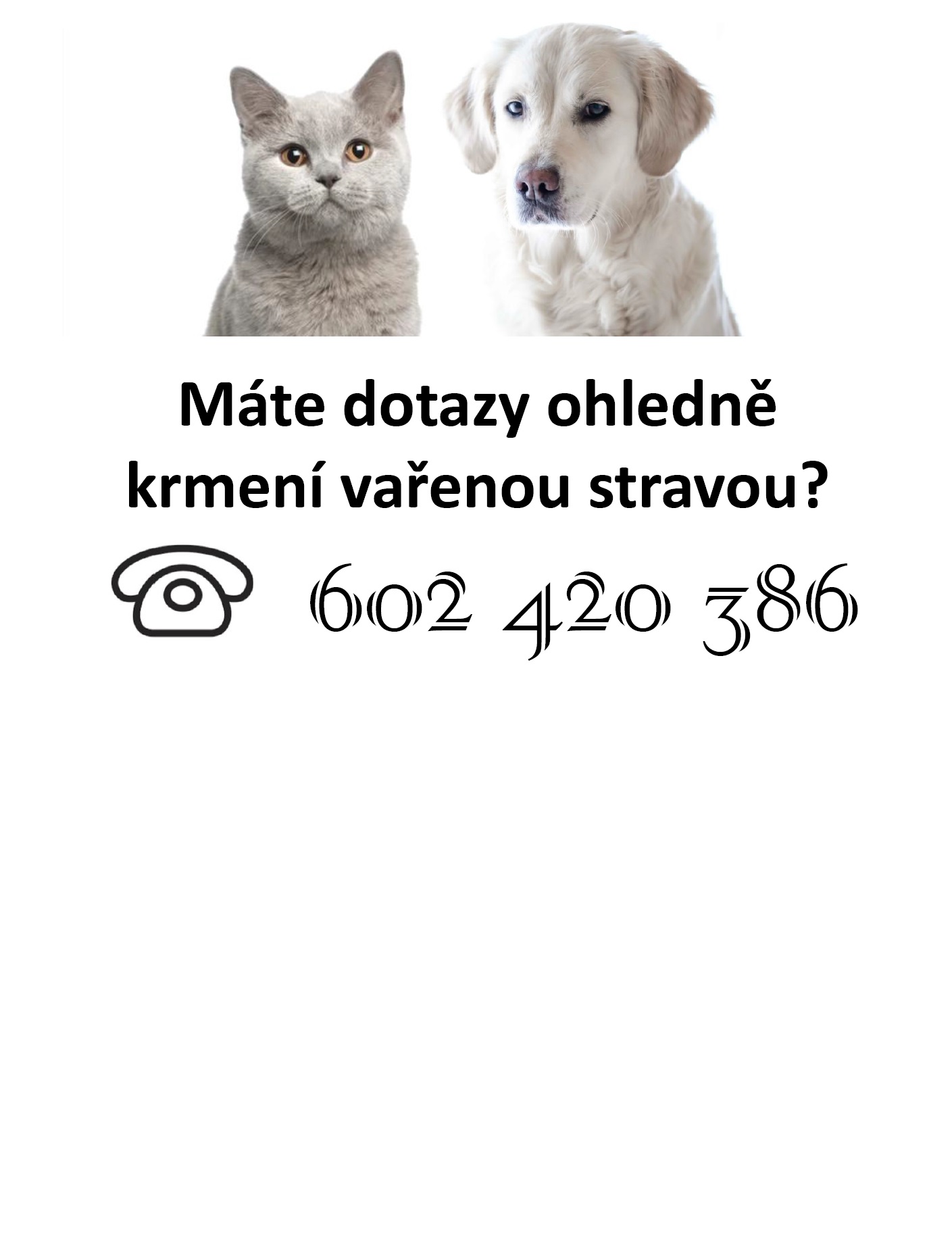 Vařené krmivo pro psy