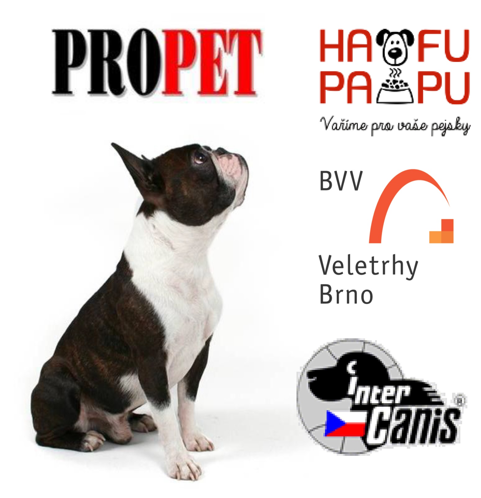 Propet